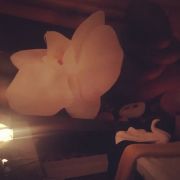 Sofia - Amadora - Couples Massage