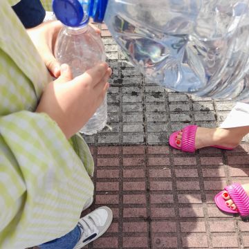 MARTHA PARRA - Barcelos - Babysitter