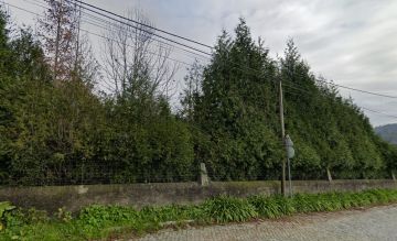 Jardinagem e Relvados