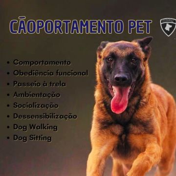 Cláudio Pereira - Lousada - Dog Walking