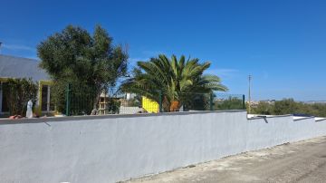 Edson Jesus - Setúbal - Enlèvement de souches d’arbres