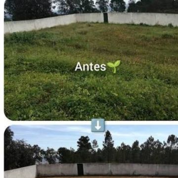 Domingos - Maia - Tree Stump Grinding and Removal
