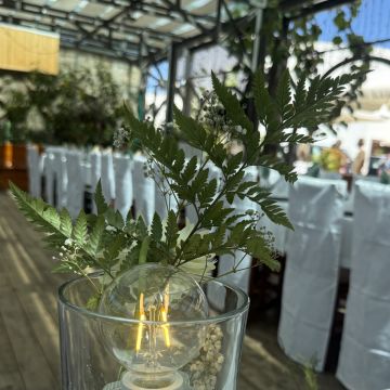 IvonePardal Org.de Eventos Unipessoal Lda - Maia - Wedding Planning