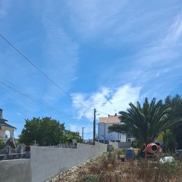 Edson Jesus - Setúbal - Poda e Manutenção de Árvores