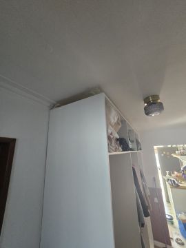 Carpentry and Woodworking