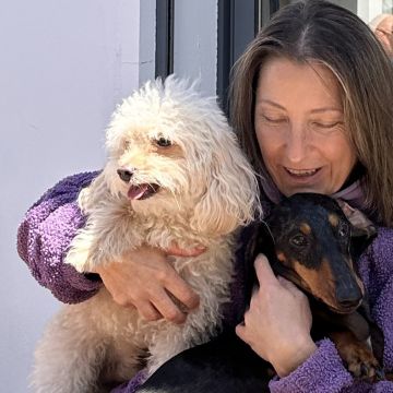 Vila Alegria Dogs - Sesimbra - Dog Hotel