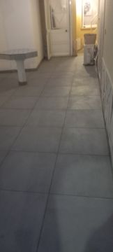 Edson Jesus - Setúbal - Jardinagem