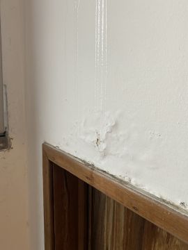 Exterior Painter - Home Improvements