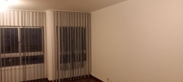 Edson Jesus - Setúbal - Limpa-neves (Residencial)