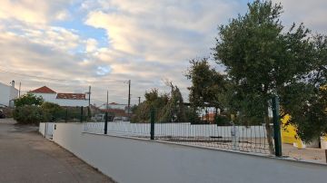 Edson Jesus - Setúbal - Enlèvement d'arbustes