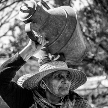 Paulo André Fotografia - Penedono - Servicios de Transmisión de Vídeo y Webcasting