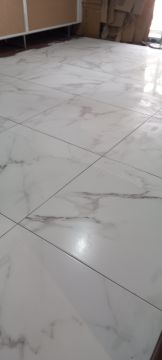 Edson Jesus - Setúbal - Plantação de Árvores