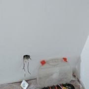 Marco Antonio Cardoso dos Santos - Amadora - Bed Frame Assembly