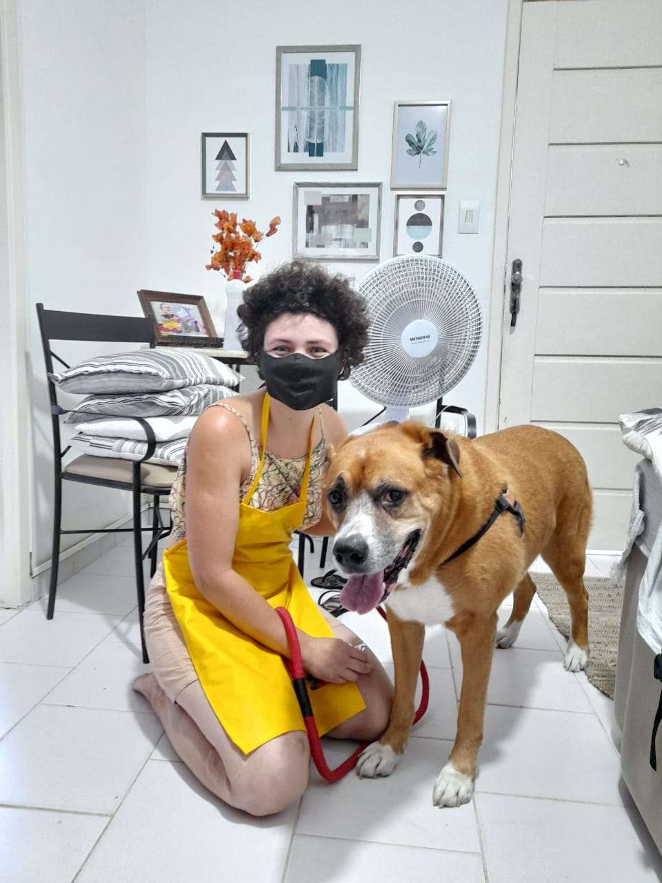 Tathyana Rosendo Pitanga Dias - Viseu - Creche para Cães