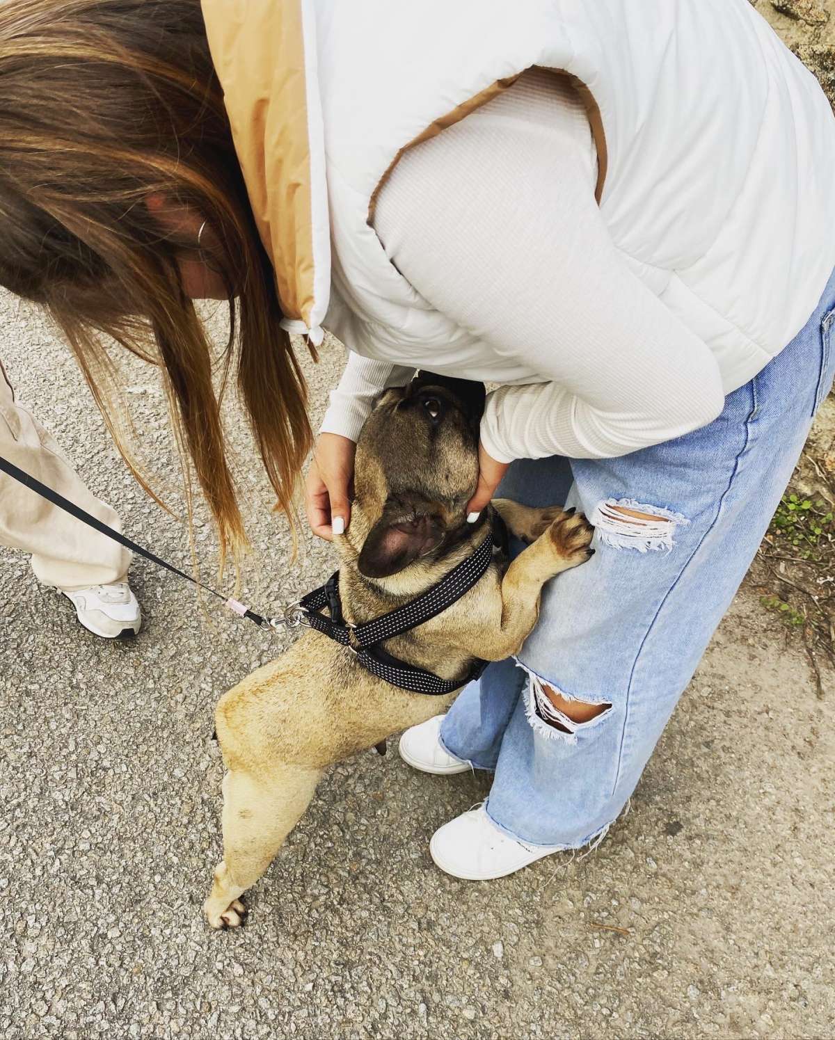 Sara Silva - Vila Nova de Gaia - Dog Hotel