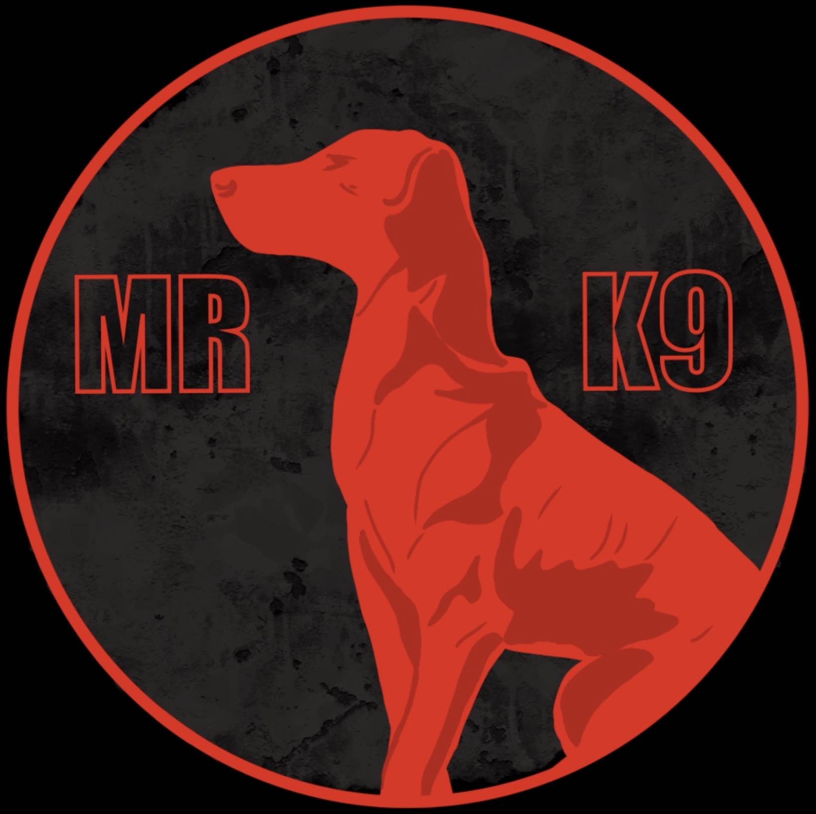 MRK9 - Cascais - Dog Sitting