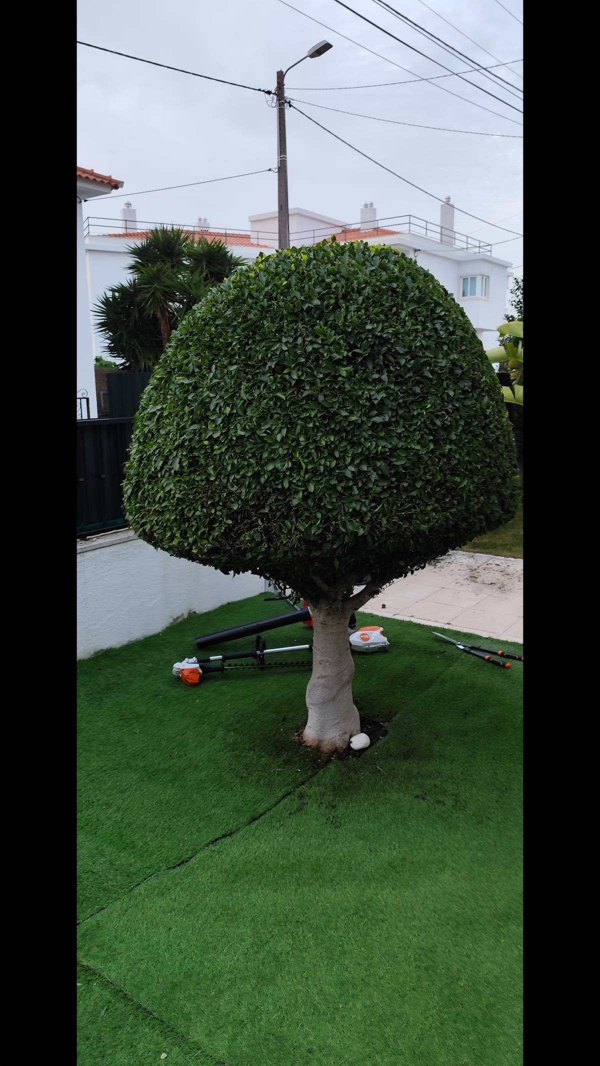 Mundo Verde Jardins - Amadora - Boulder Placement