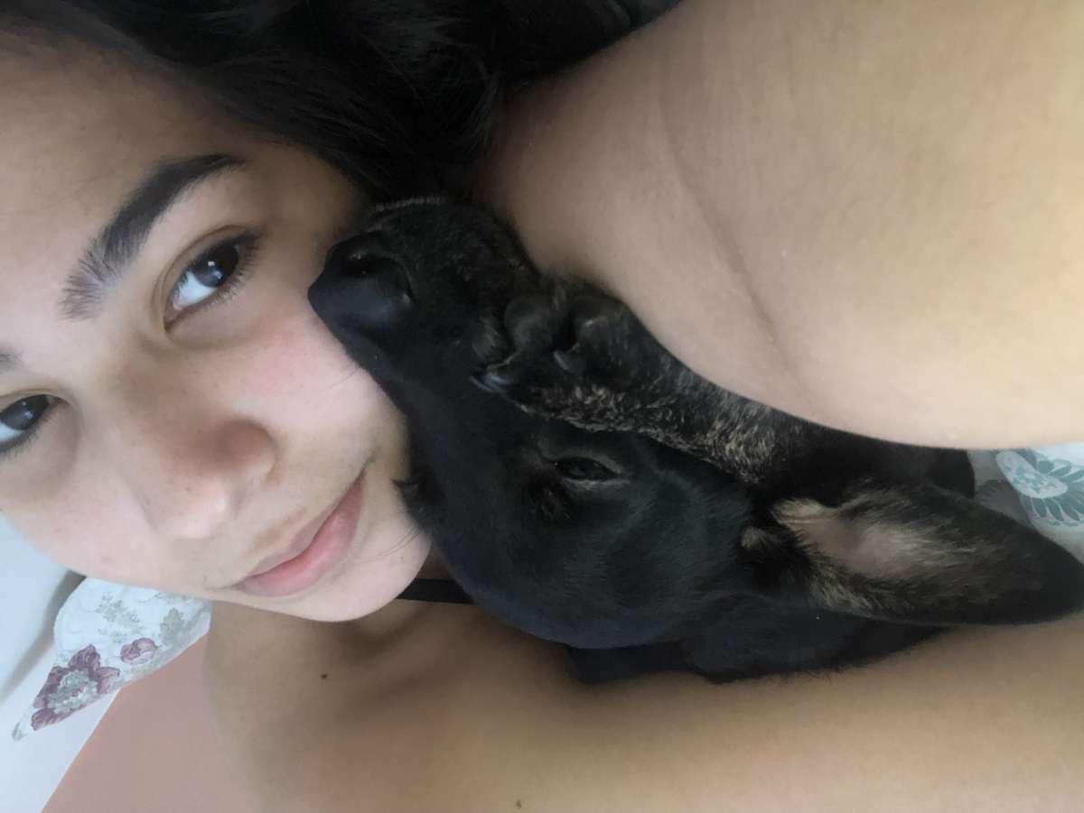 Cecília Cavalcanti/ Hotelzinho da Ceci (Insta) - Viseu - Dog Daycare