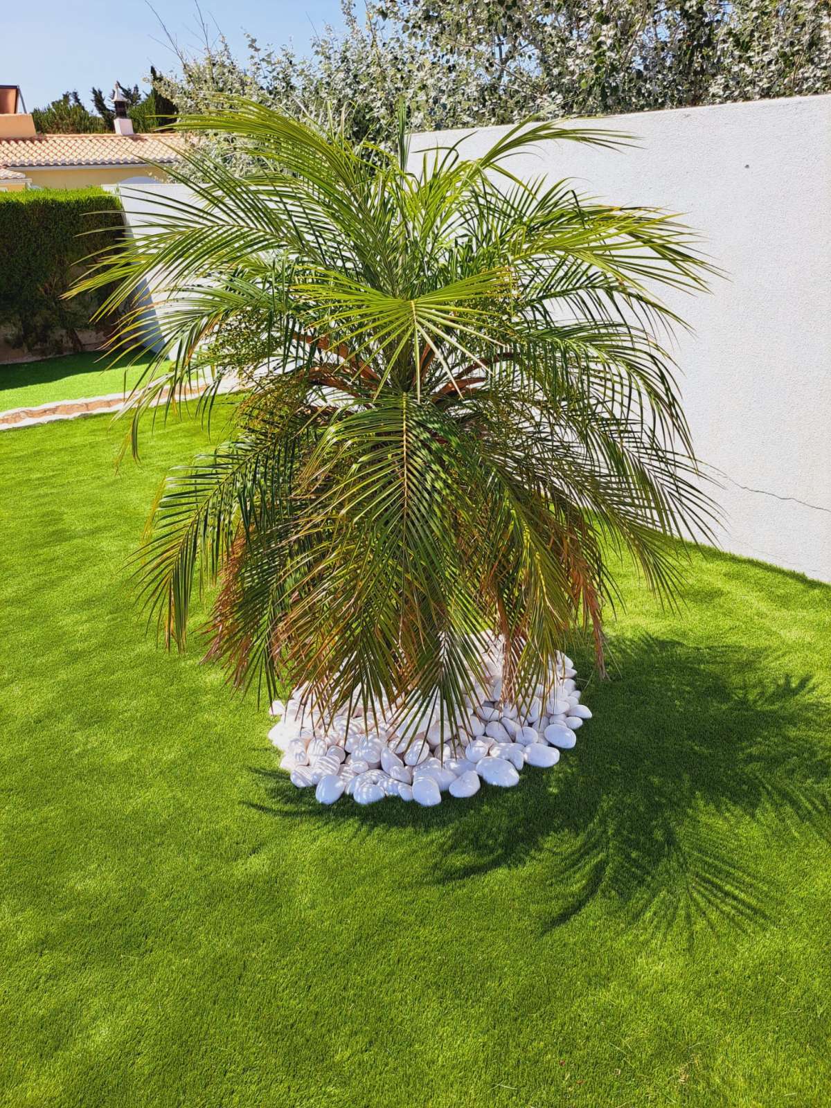 ACM remodelaçãoes - Portimão - Flooring