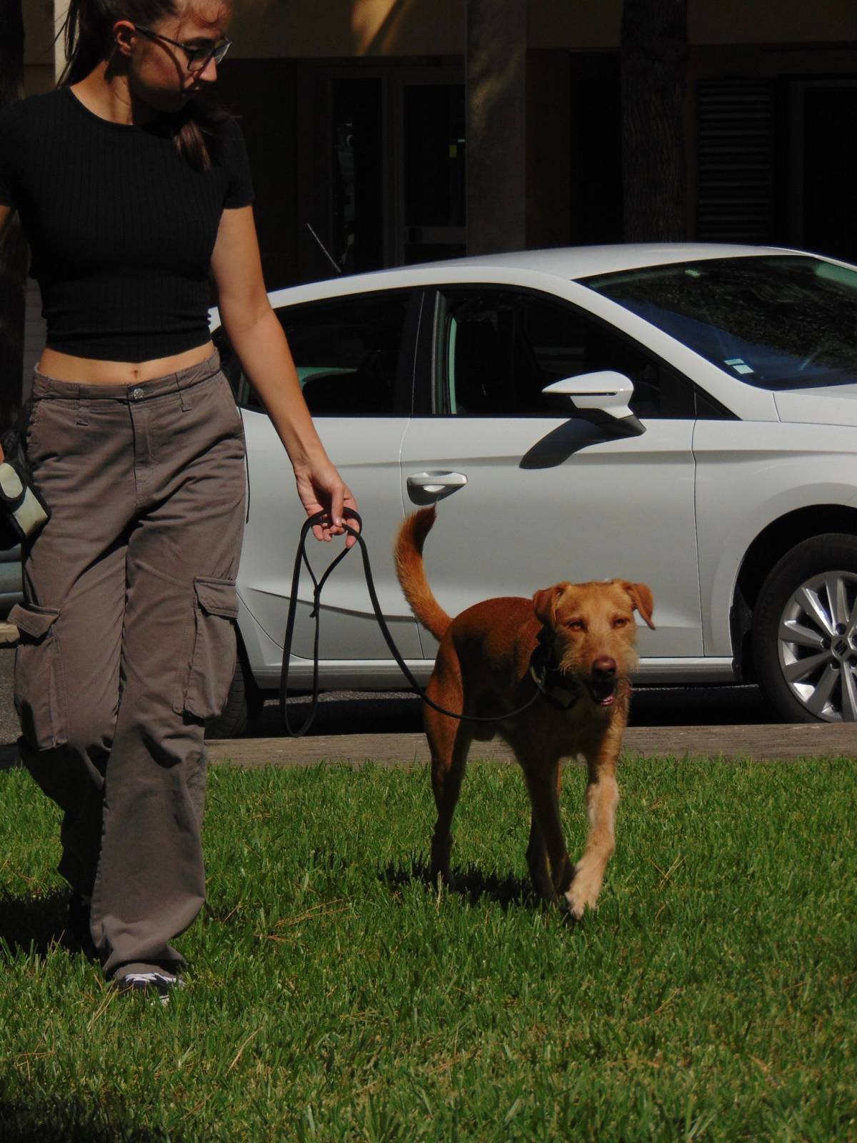 MRK9 - Cascais - Pet Sitting