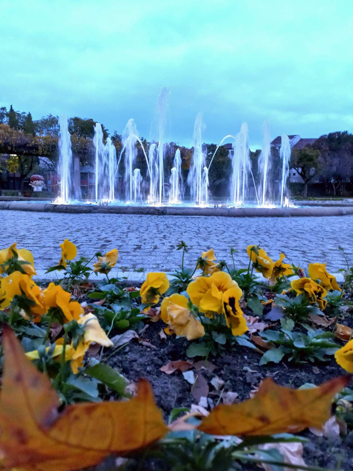 Ricardina Barata - Castelo Branco - Fotógrafo