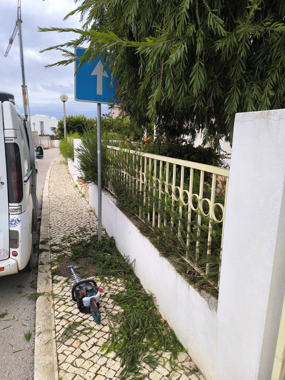 Bruno Rosa - Lagos - Instalación de césped