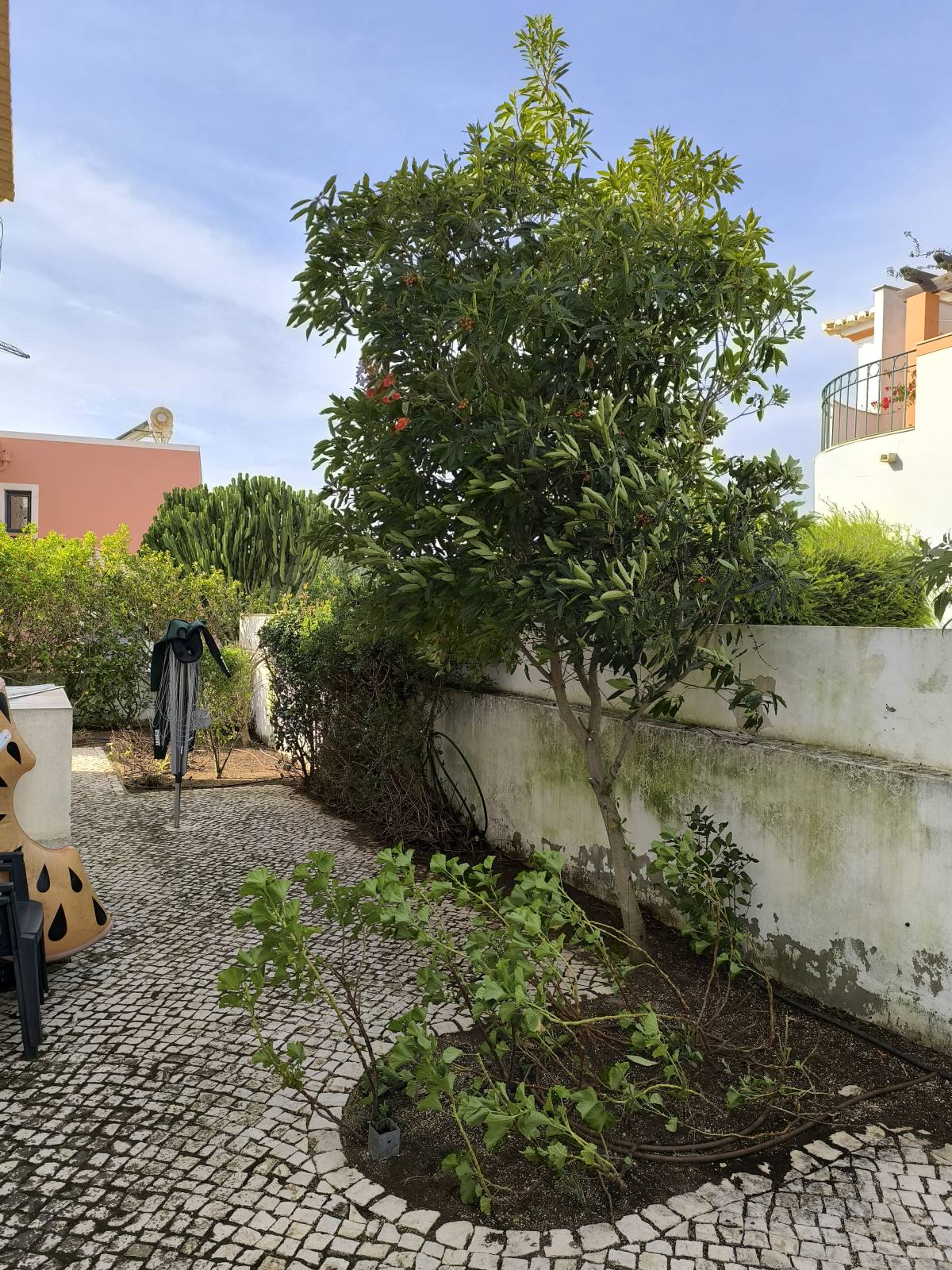 Bruno Rosa - Lagos - Instalación de sistemas de aspersores
