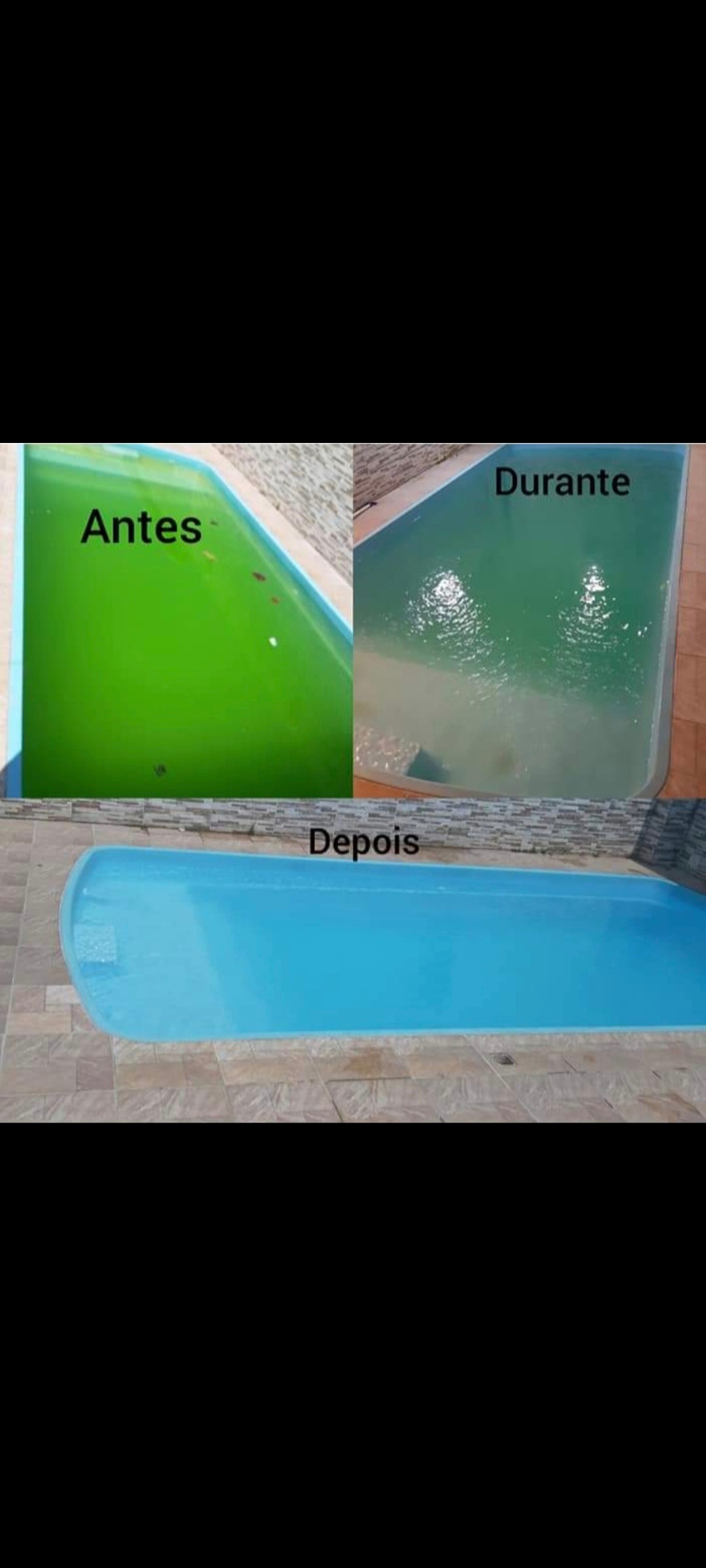 Jefli Pool Maintenance - Sesimbra - Baumpflege