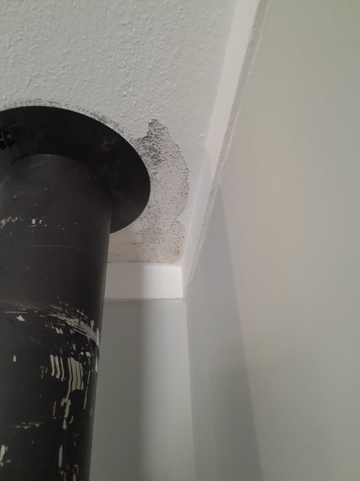 Fireplace and Chimney Specialist