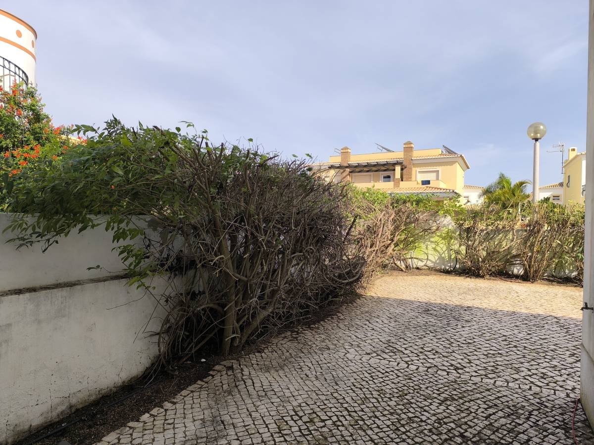 Bruno Rosa - Lagos - Jardinería