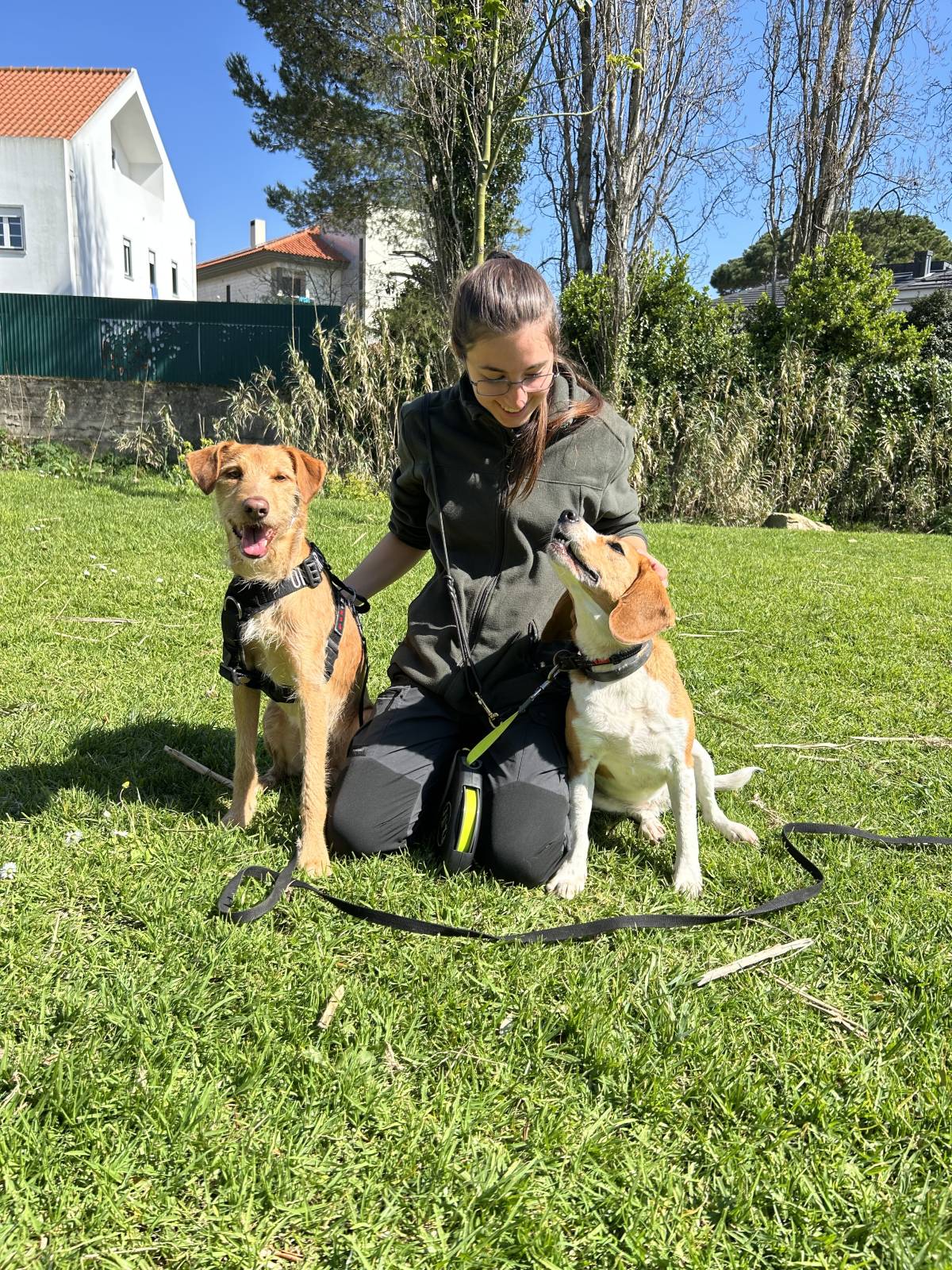 MRK9 - Cascais - Treino de Cães - Aulas