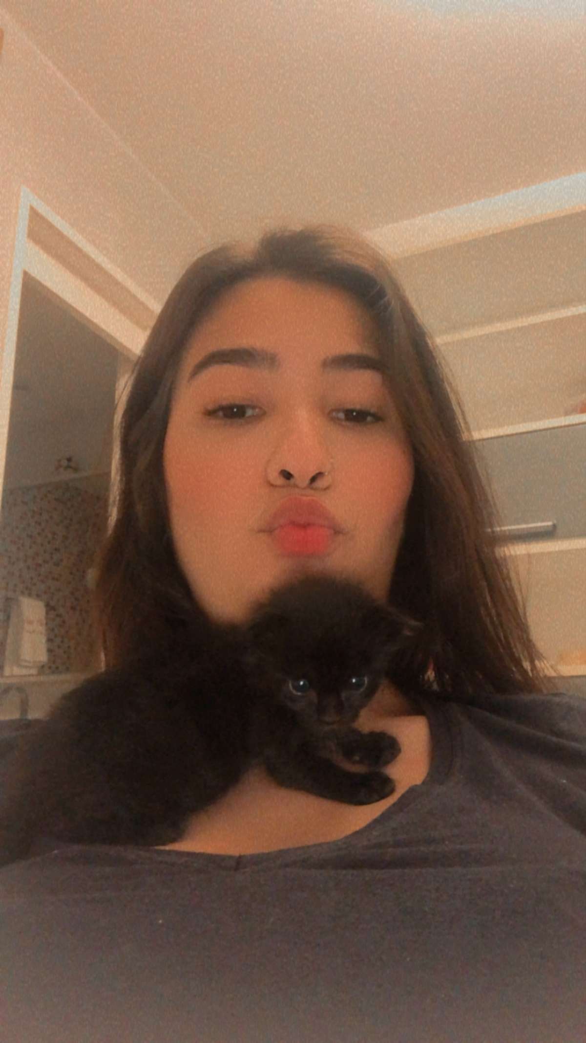 Cecília Cavalcanti/ Hotelzinho da Ceci (Insta) - Viseu - Dog Sitting