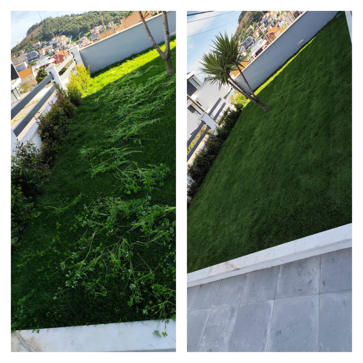 Mundo Verde Jardins - Amadora - Outdoor Landscaping