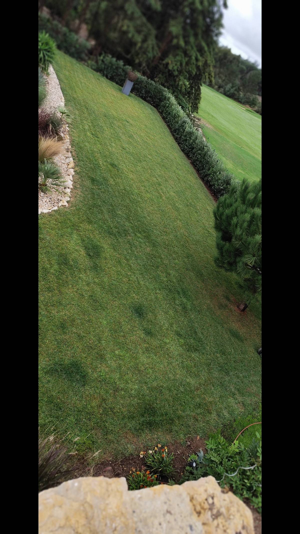 Mundo Verde Jardins - Amadora - Dog Fence Installation