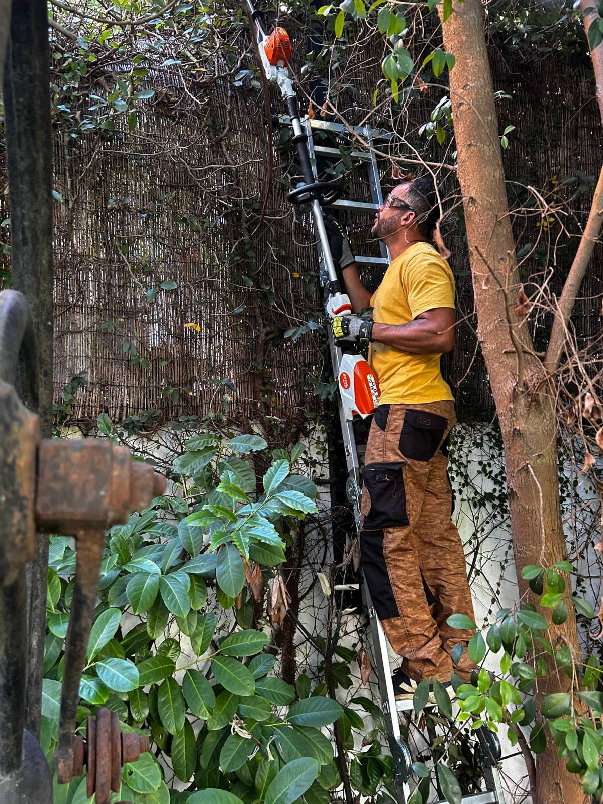 Mundo Verde Jardins - Amadora - Shrub Removal