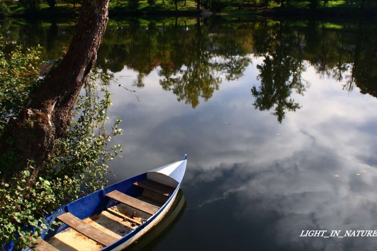 David Correia - Porto - Fotografia de Casamentos