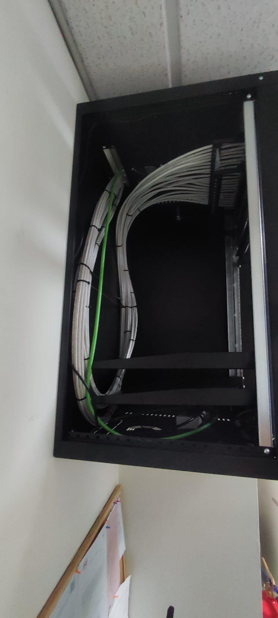 Tai Trindade - Maia - Network Support