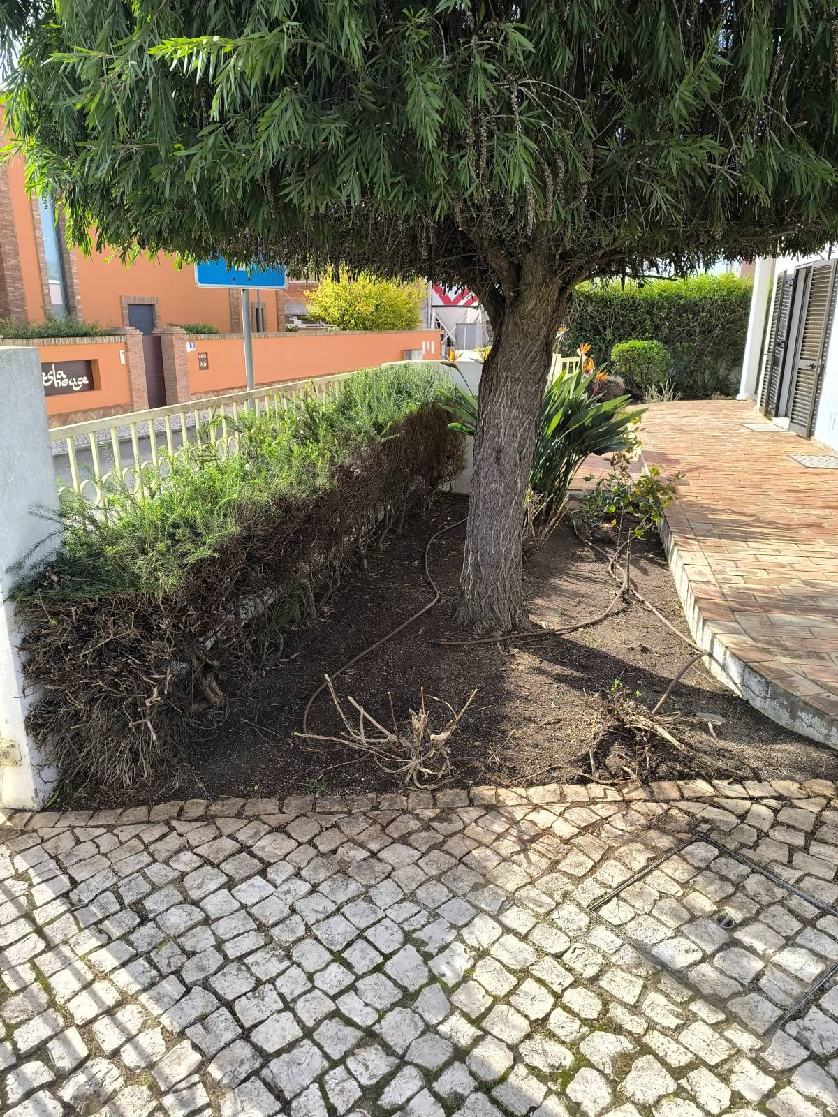 Bruno Rosa - Lagos - Jardinería