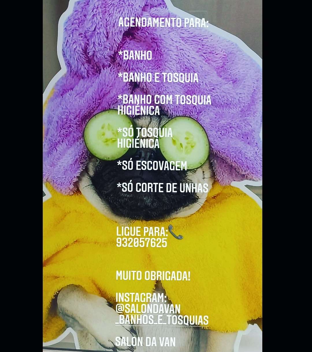 Vanessa - Viana do Castelo - Baths and Grooming for Animals