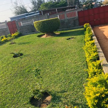 Mundo Verde Jardins - Amadora - Multi Service Lawn Care