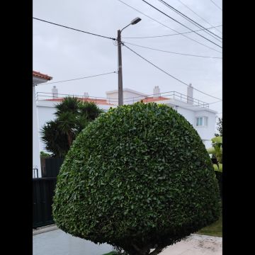 Mundo Verde Jardins - Amadora - Boulder Placement