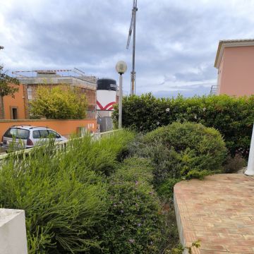 Bruno Rosa - Lagos - Servicios de invernadero