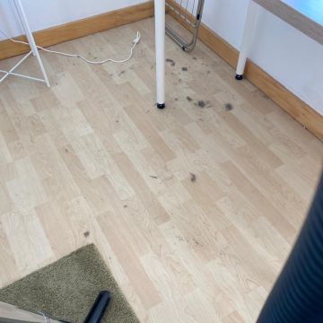 Catia melo limpeza - Seixal - Limpeza Após Mudanças