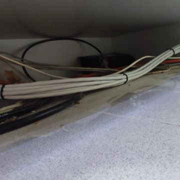 Tai Trindade - Maia - Telephone System Services
