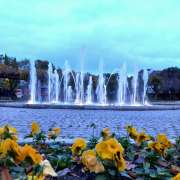 Ricardina Barata - Castelo Branco - Photographer