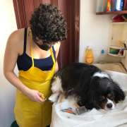 Tathyana Rosendo Pitanga Dias - Viseu - Hotel para Cães