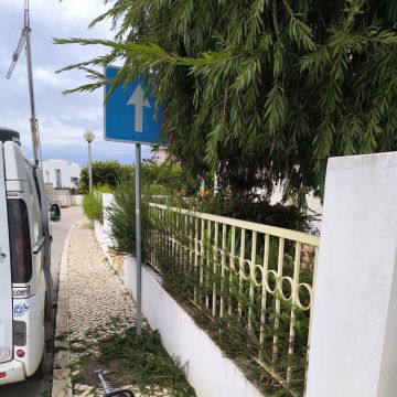 Bruno Rosa - Lagos - Instalación de césped