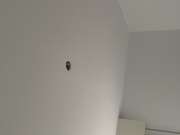 Handyman