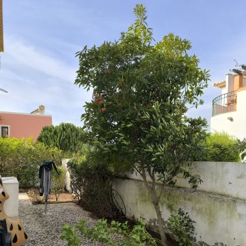 Bruno Rosa - Lagos - Instalación de sistemas de aspersores