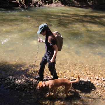 MRK9 - Cascais - Pet Sitting e Pet Walking
